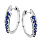 ZE910 Color Earring in 14k Gold