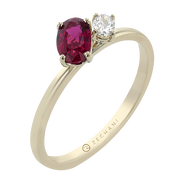 ZR2513-Y Color Ring in 14k Gold