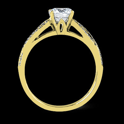 ZR998 Engagement Ring in 14k Gold with Diamonds